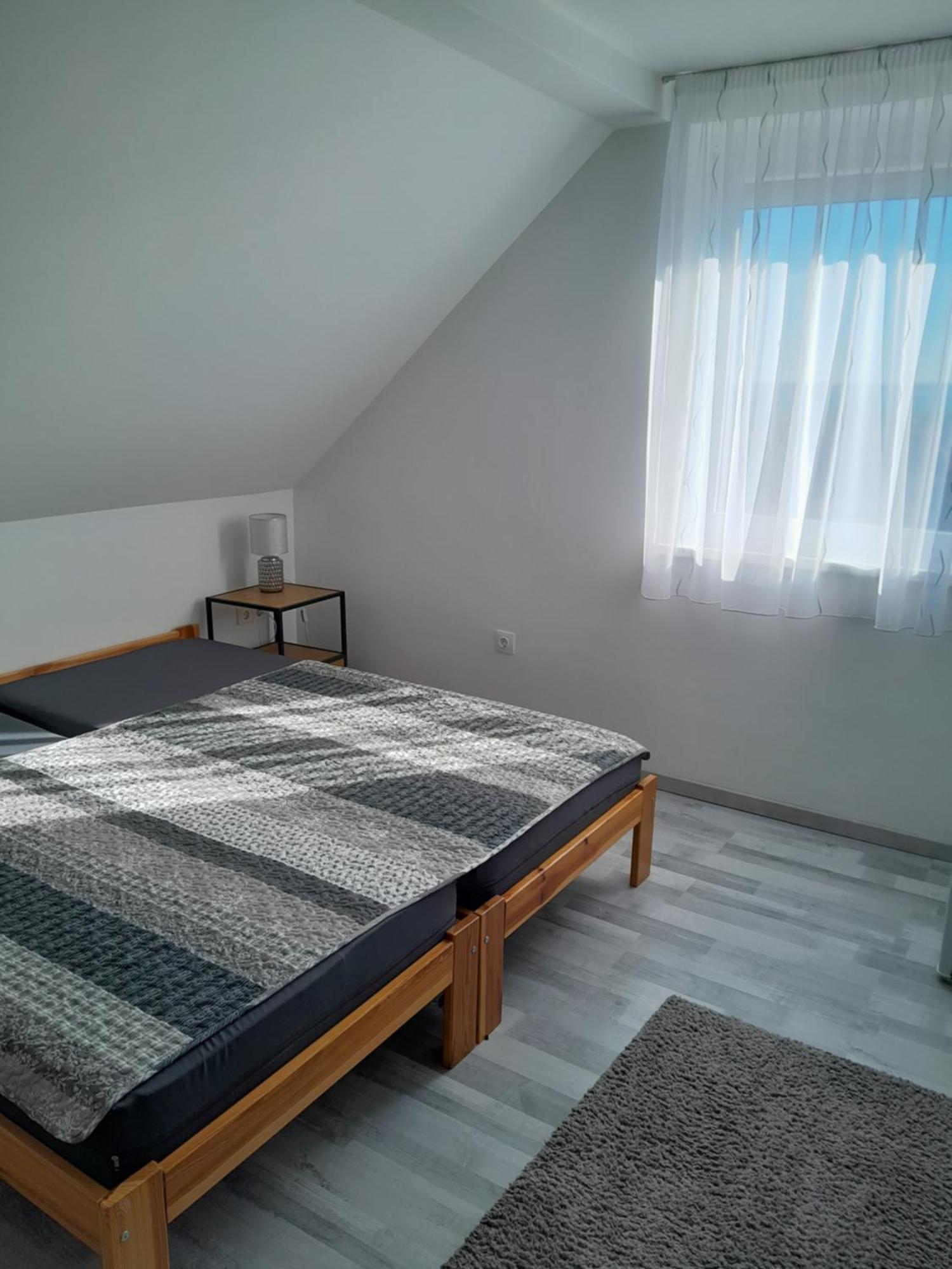 巴拉顿菲赖德Lila Fuge Apartman公寓 外观 照片